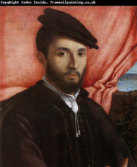 Lorenzo Lotto Portrat eines jungen Mannes